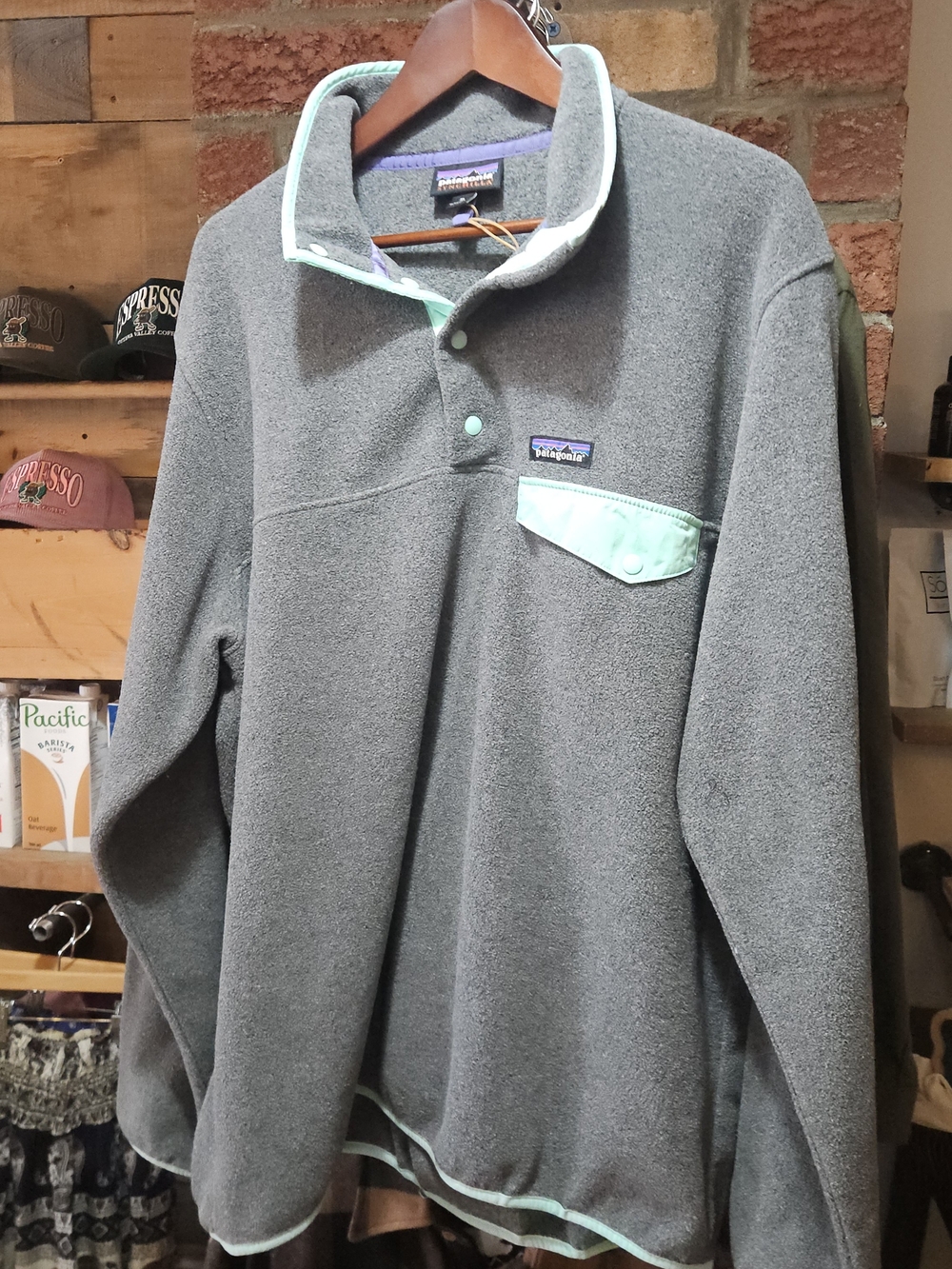 Patagonia Men's Gray Snap-Front Fleece with Mint Trim